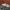 New Balance Streetwear Sportswear Sneakers Pria Gray