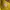 The North Face Streetwear Short Pria yellow photo 4