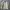 Carhartt Vintage Casual Track jacket Pria tan photo 1
