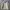 Carhartt Vintage Casual Track Jacket Pria Tan