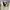 Carhartt Vintage Casual Track jacket Pria tan photo 3