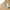 Zara Casual Casual pants Pria tan photo 5
