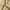 Zara Casual Casual pants Pria tan photo 6