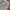 Japanese brand Streetwear Y2K Casual pants Pria gray photo 4