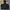 Adidas Streetwear Gorpcore Windbreaker Pria Gold Black