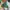 Longchamp Minimalist Casual Bags & Purse Wanita Green