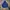 Adidas Y2K Gorpcore Parka Pria blue photo 1