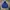 Adidas Y2K Gorpcore Parka Pria Blue