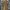 Vintage Y2K Skirt Wanita gold green photo 2