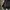 Y2K Luxury Mini skirt Wanita black photo 2