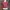 Uniqlo Streetwear Crop top Wanita pink red photo 1