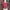 Uniqlo Streetwear Crop Top Wanita Pink Red