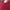 Giordano Vintage Streetwear Track jacket Wanita red photo 2