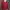Giordano Vintage Streetwear Track jacket Wanita red photo 1