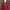 Giordano Vintage Streetwear Track Jacket Wanita Red