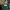 RIHOAS Coquette Cami top Wanita green photo 4