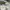 Zara Casual Sweatshirt Wanita white photo 2