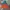 Nike Gorpcore Track jacket Pria orange blue photo 1