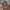 Nike Gorpcore Track jacket Pria orange blue photo 2