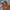 Nike Gorpcore Track Jacket Pria Orange Blue
