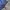 Kangol Sportswear Windbreaker Pria navy photo 4