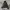 Santa Cruz Skateboards Streetwear Skater Trench coat Pria black photo 4