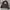 Santa Cruz Skateboards Streetwear Skater Trench coat Pria black photo 3