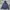 New Balance Sportswear Windbreaker Pria navy photo 1