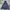 New Balance Sportswear Windbreaker Pria Navy