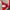 Nike Streetwear Sportswear Windbreaker Pria red gray photo 6