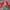 Nike Streetwear Sportswear Windbreaker Pria red gray photo 4