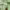 Beverly Hills Polo Club Streetwear Casual Windbreaker Pria green photo 6
