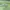 Beverly Hills Polo Club Streetwear Casual Windbreaker Pria green photo 4