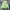 Beverly Hills Polo Club Streetwear Casual Windbreaker Pria green photo 3