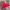 Fila Streetwear Casual Track jacket Pria red photo 2