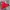 Fila Streetwear Casual Track Jacket Pria Red