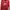 Nike Sportswear Minimalist Jersey Pria red photo 1