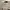 Oakley Vintage Avant Garde Casual pants Pria cream photo 5