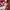 Marni Streetwear Minimalist Skirt Wanita white red photo 7