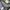 Nike Gorpcore Futurist Windbreaker Pria black photo 7