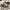 Converse Vintage Streetwear Sneakers Pria black photo 1