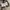 PPFM Vintage Avant Garde Jeans Pria cream photo 4
