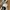 New Balance Sportswear Sneakers Pria khaki cream photo 7