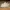 New Balance Sportswear Sneakers Pria khaki cream photo 1