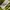 MSGM Streetwear Shirt Wanita white yellow photo 7