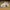 New Balance Streetwear Sportswear Sneakers Wanita khaki cream photo 1
