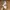 New Balance Streetwear Sportswear Sneakers Wanita khaki cream photo 8