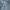 Gorpcore Casual Casual pants Pria blue photo 4