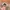 Guess Vintage Y2K Hat Pria gray photo 3