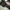 Adidas Y2K Casual Bag Pria white black photo 6